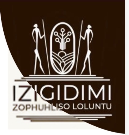 IZIGIDIMI Logo